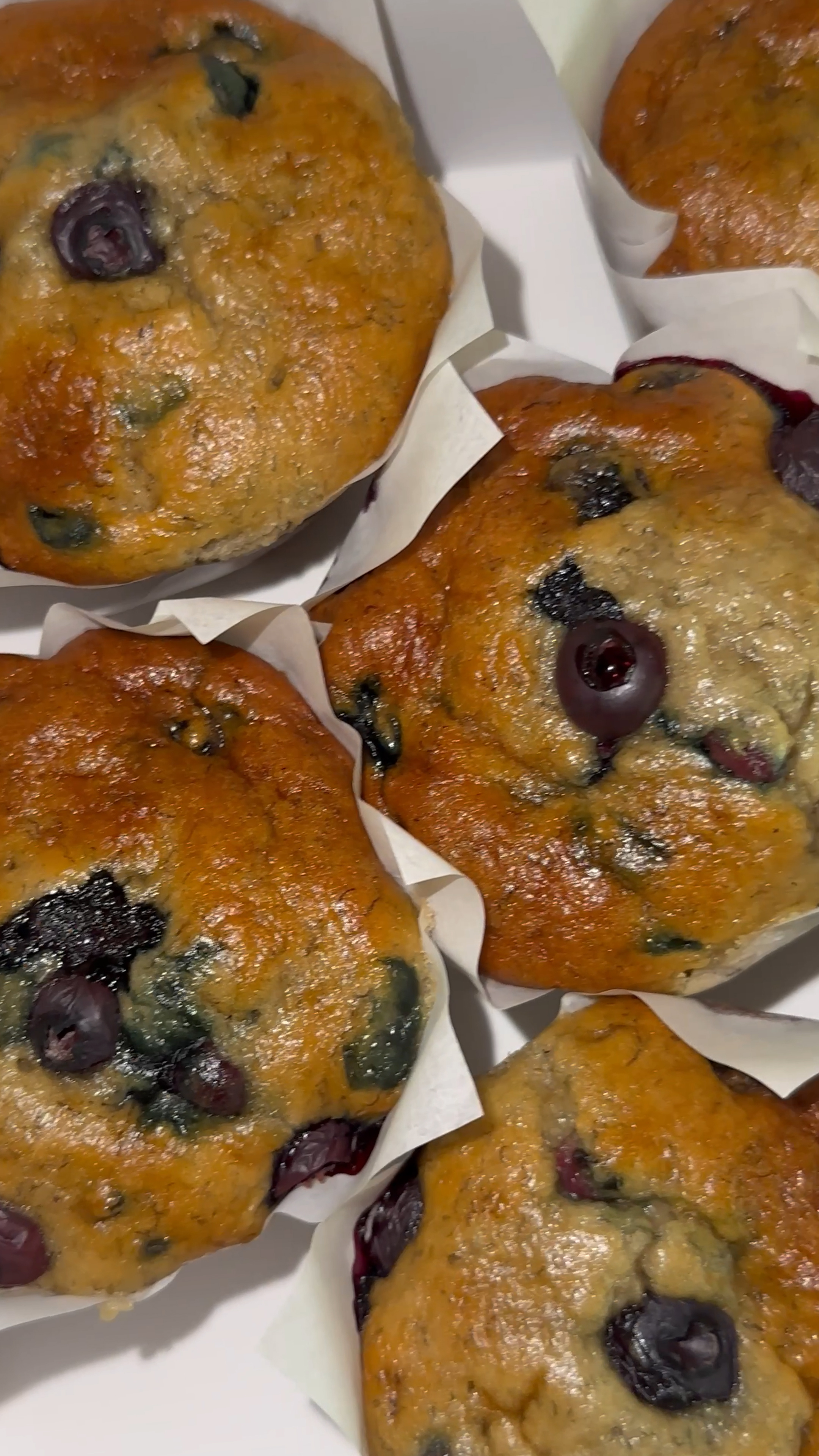 Blueberry Muffins