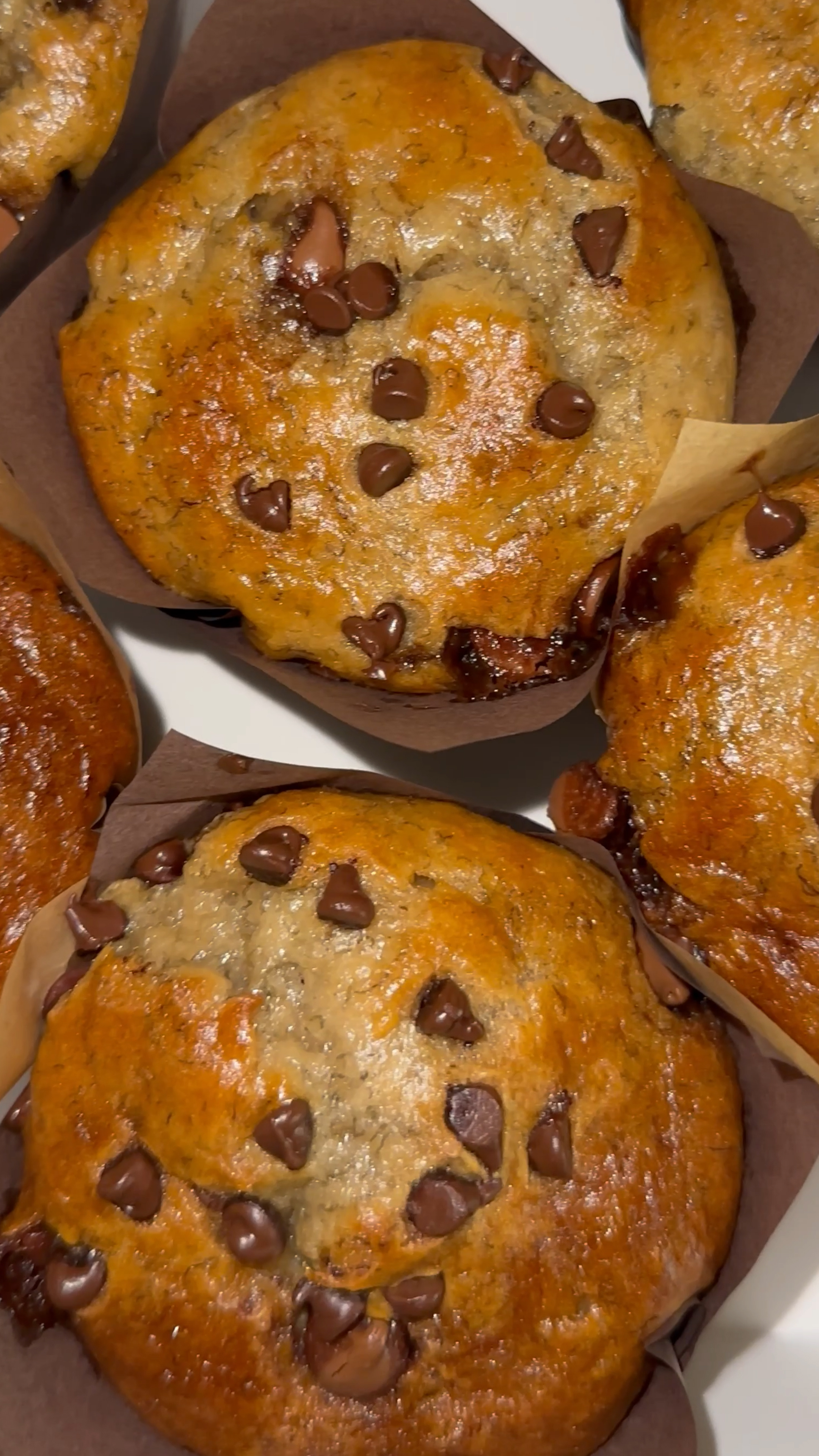 Chocolate Chip Muffins